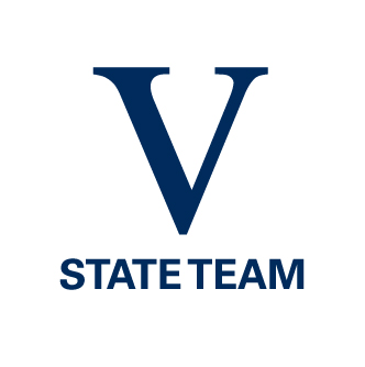 Netball Victoria State Team logo