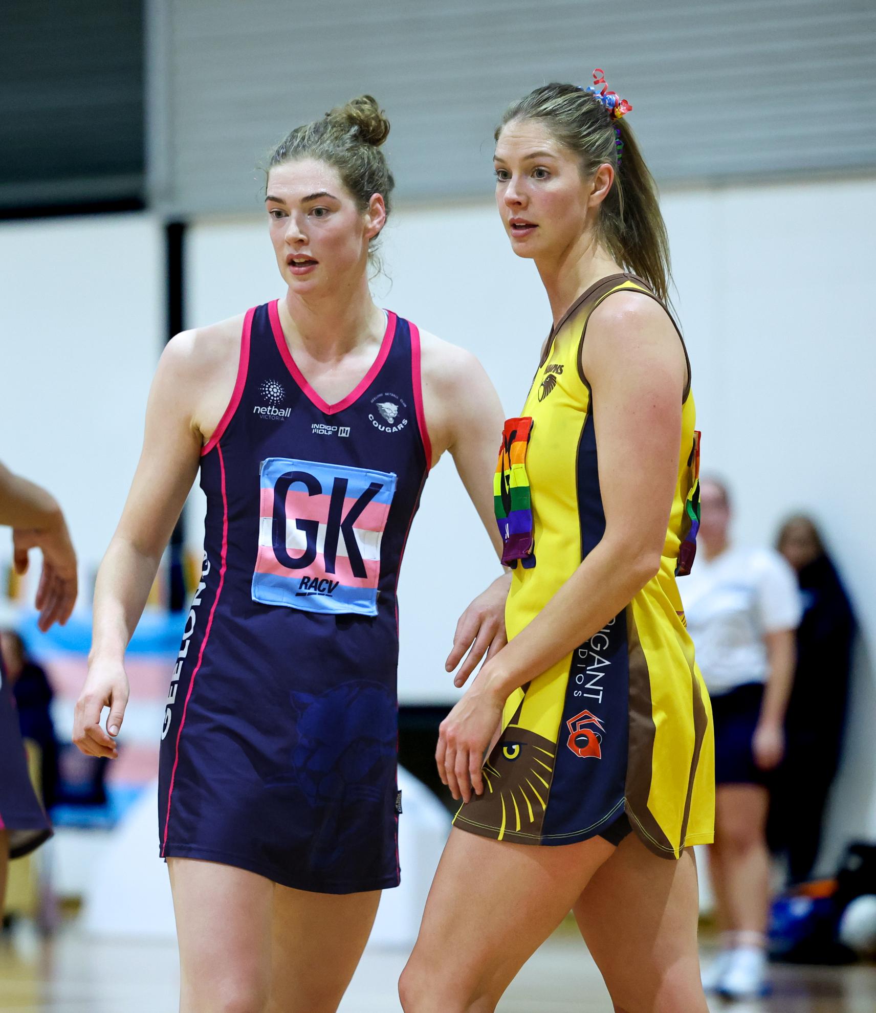 VNL Preview | Round 18 - Netball VIC